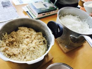 コウノトリ米の玄米